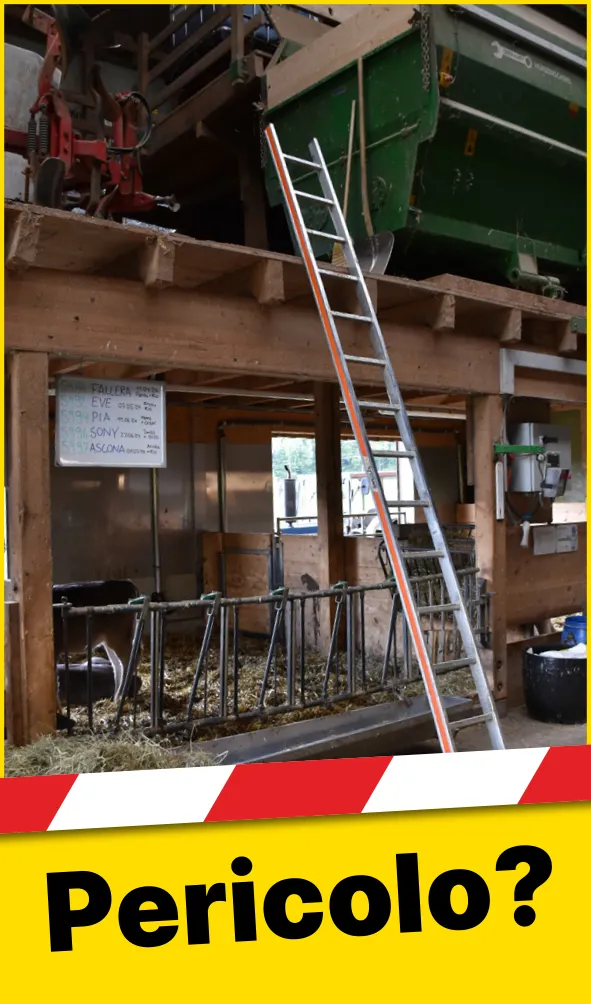 Infrastruktur_Leiter_IT1