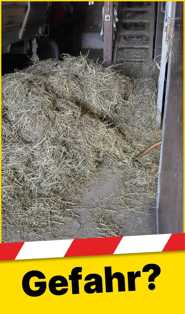 Tiere_Gabel_Heu_DE1