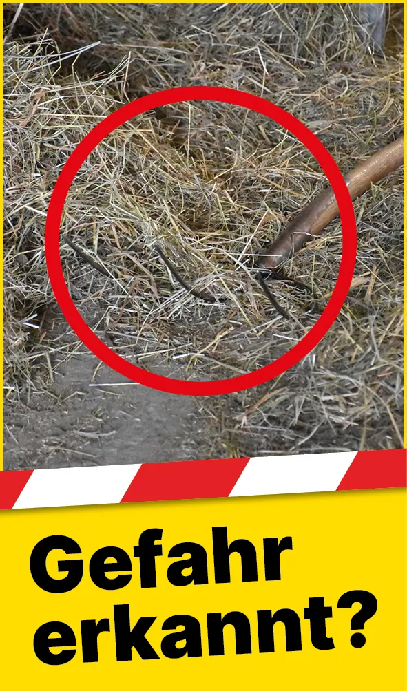 Tiere_Gabel_Heu_DE2