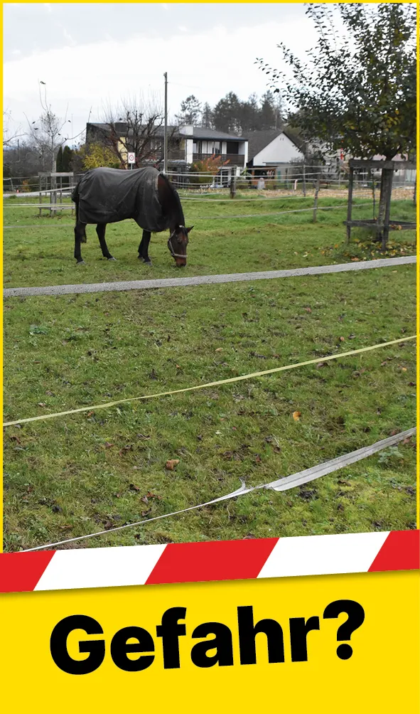 Tiere_Defekter_Zaun_DE1