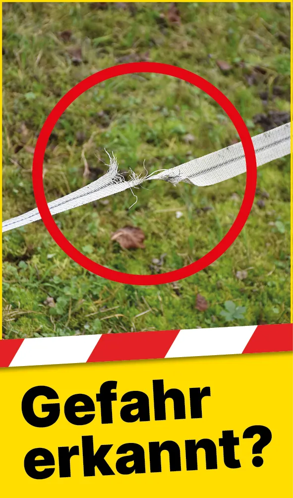 Tiere_Defekter_Zaun_DE2