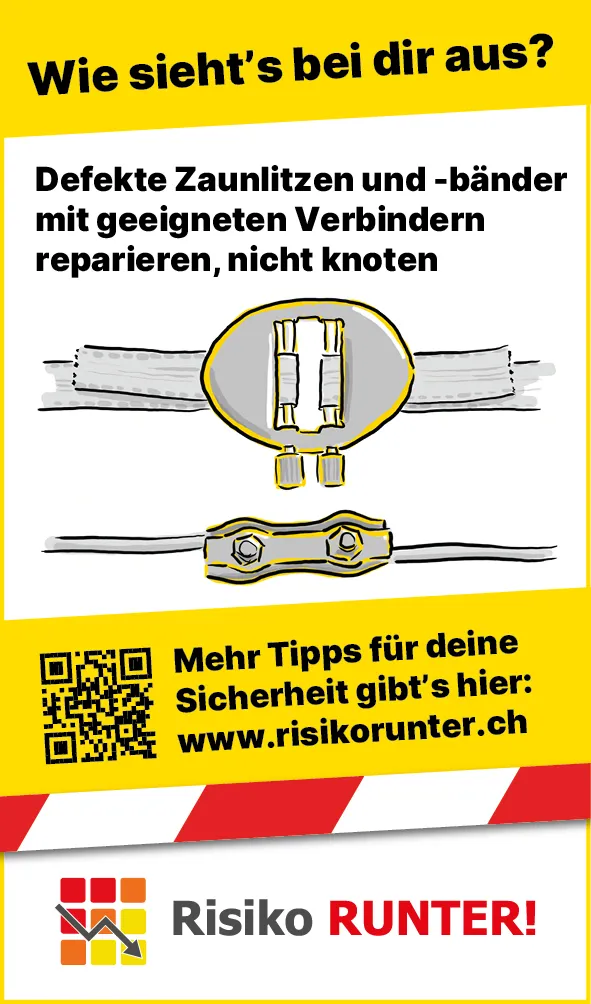 Tiere_Defekter_Zaun_DE3