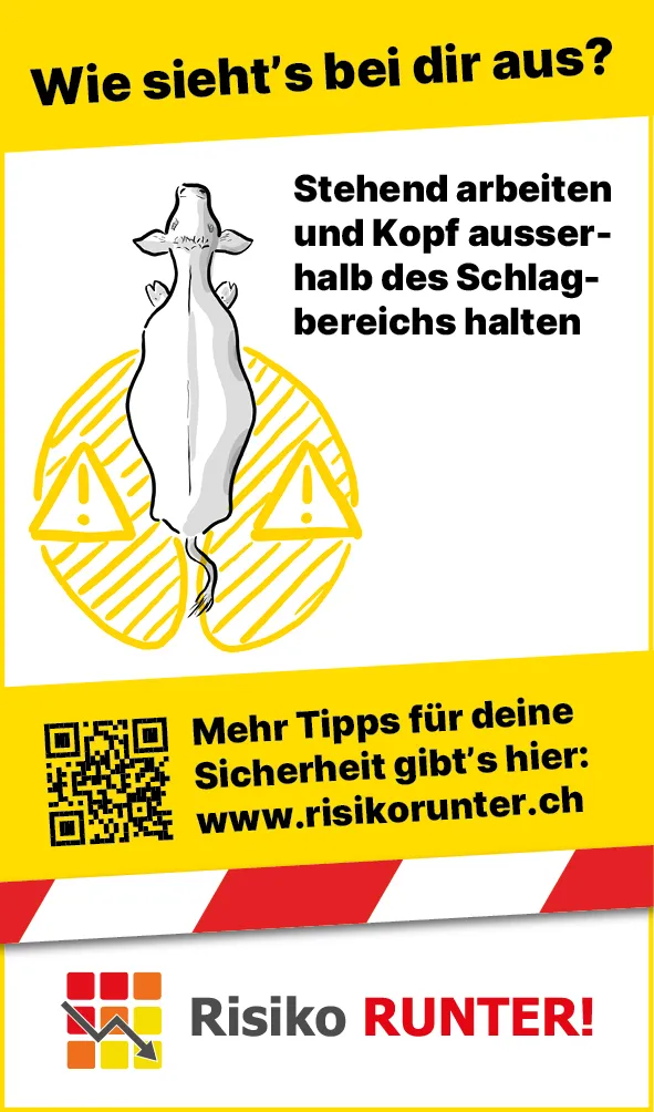 Tiere_Kuh_Schlagbereich_DE3
