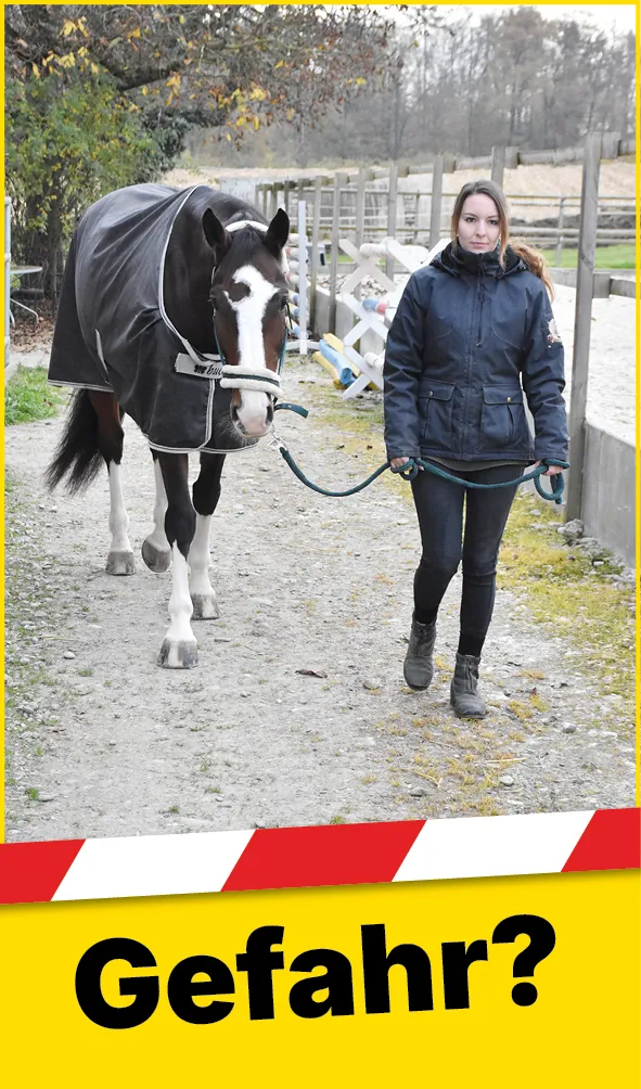 Tiere_Pferd_Strick_Hand_Web_DE1