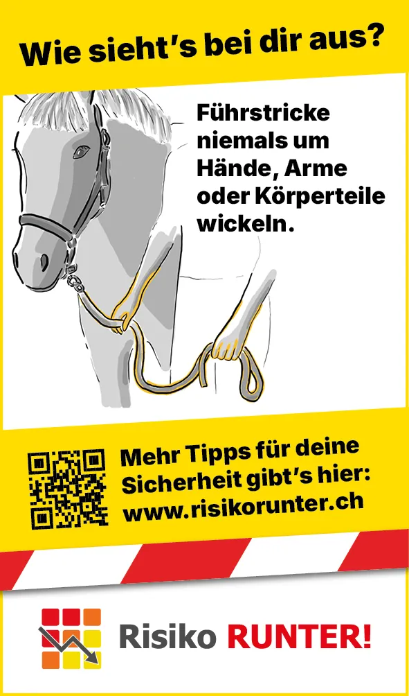 Tiere_Pferd_Strick_Hand_Web_DE3