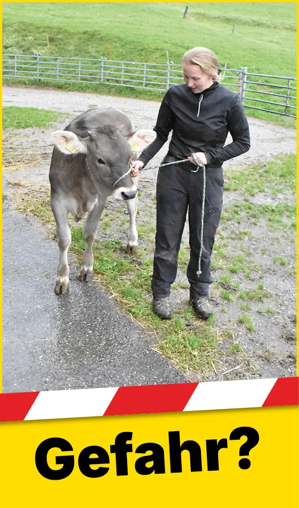 Tiere_Seil_Hand_Rind_Web_DE1