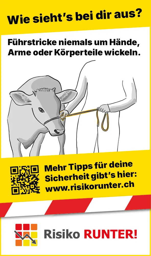 Tiere_Seil_Hand_Rind_Web_DE3