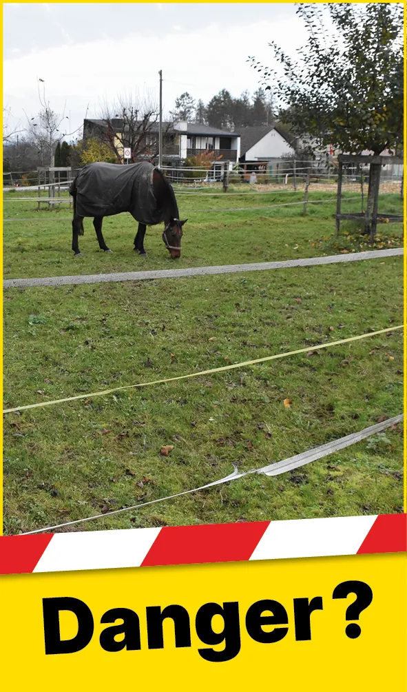 Tiere_Defekter_Zaun_FR1