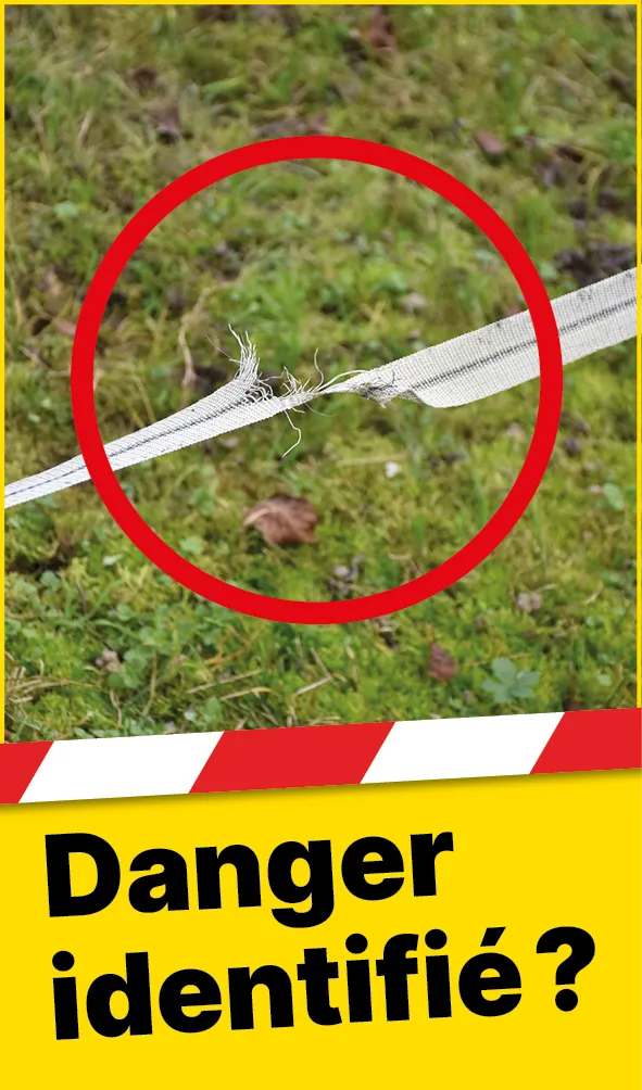 Tiere_Defekter_Zaun_FR2