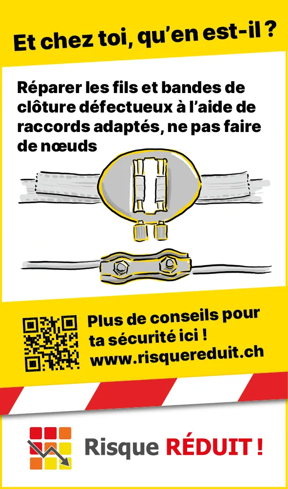 Tiere_Defekter_Zaun_FR3