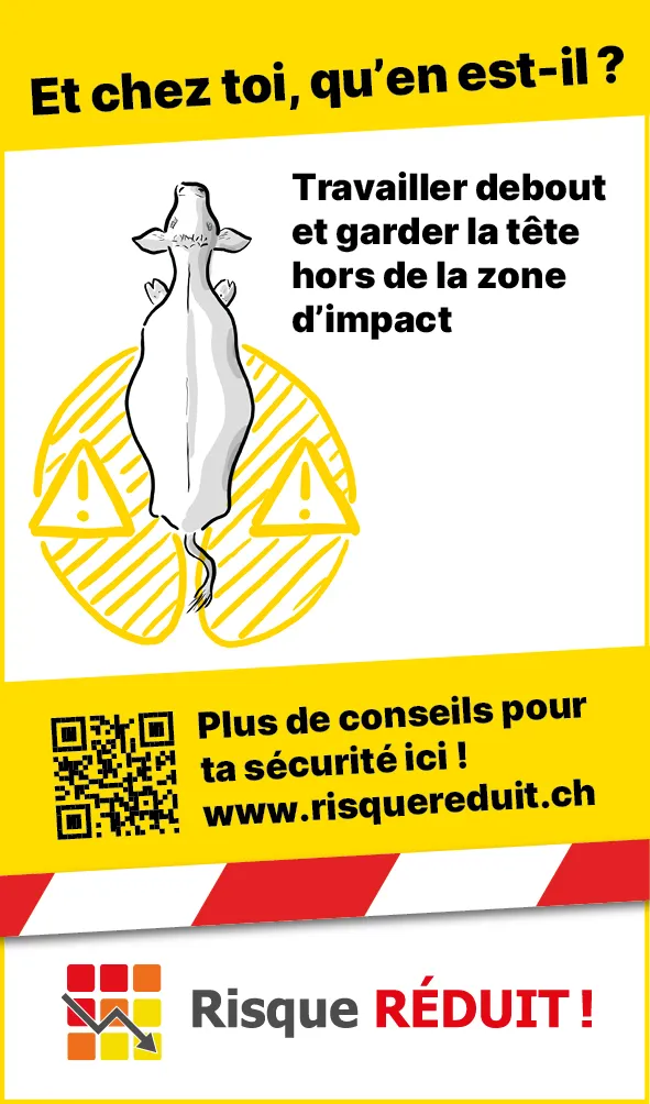 Tiere_Kuh_Schlagbereich_FR3