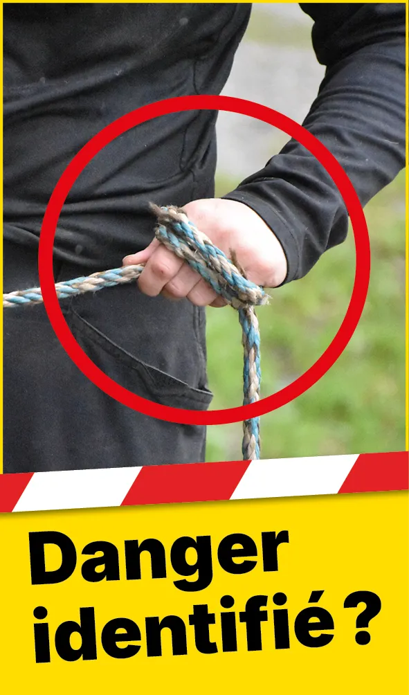 Tiere_Seil_Hand_Rind_Web_FR2