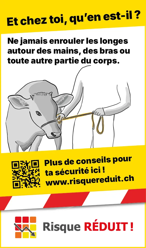 Tiere_Seil_Hand_Rind_Web_FR3