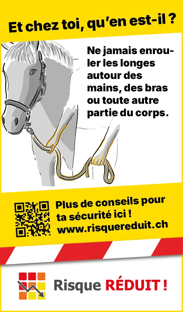 Tiere_Pferd_Strick_Hand_Web_FR3