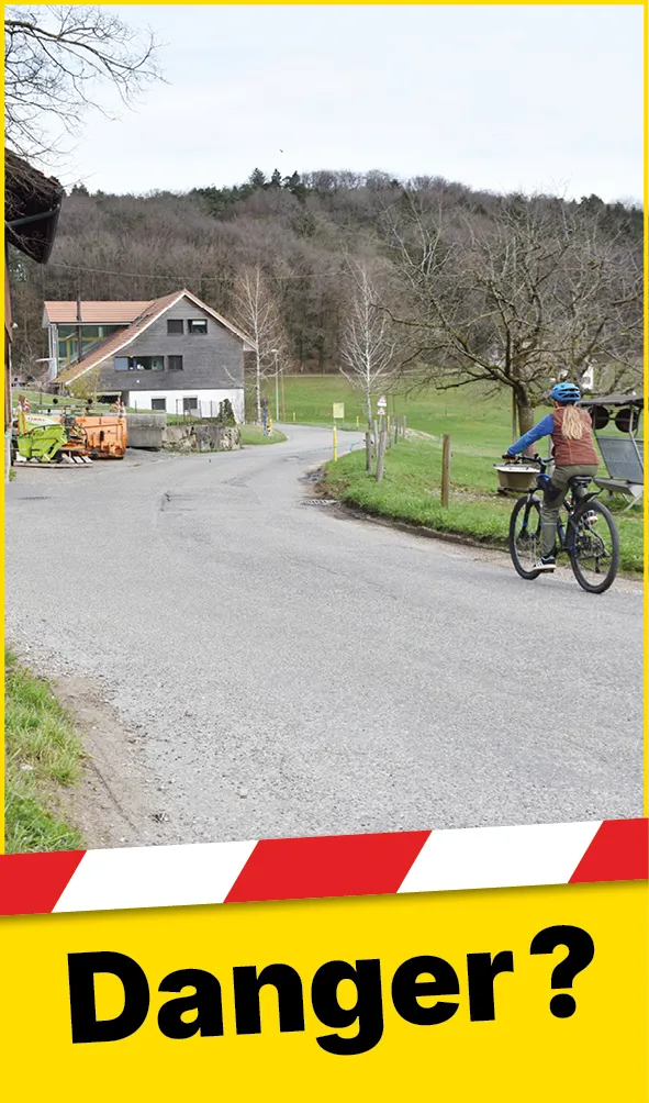 Tiere_Absperrung_Strasse_Web_FR1