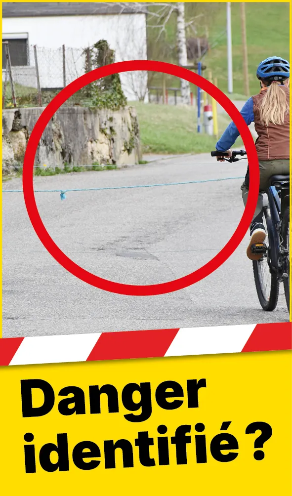 Tiere_Absperrung_Strasse_Web_FR2