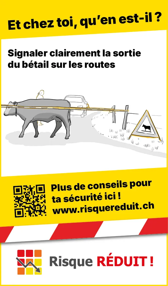 Tiere_Absperrung_Strasse_Web_FR3