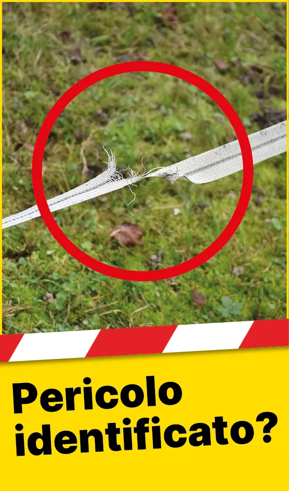 Tiere_Defekter_Zaun_IT2