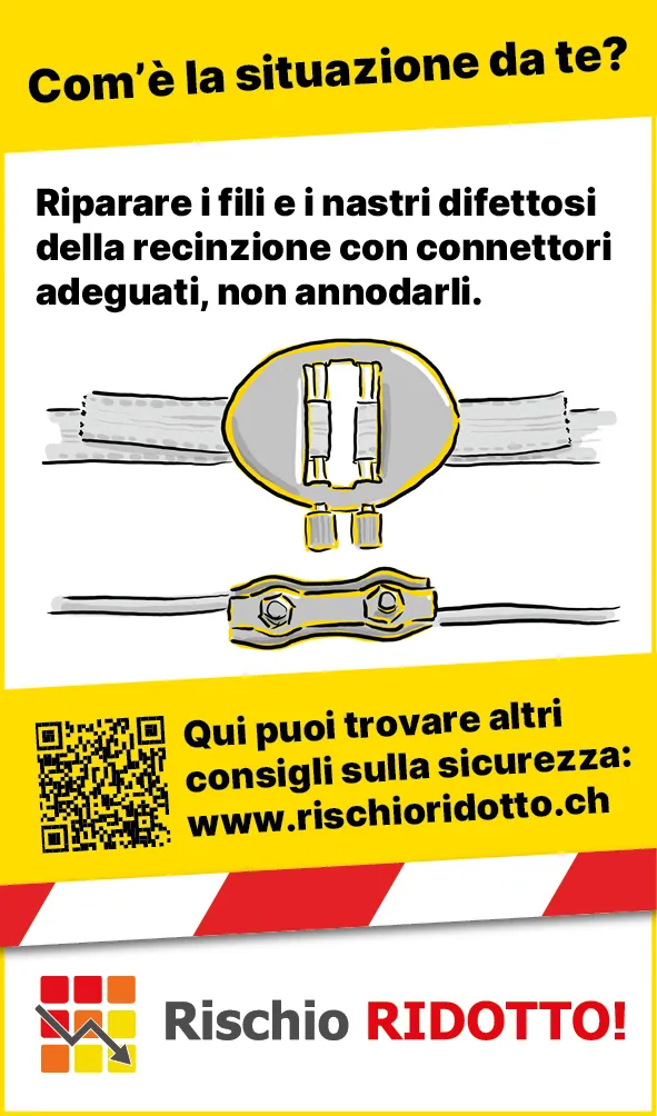 Tiere_Defekter_Zaun_IT3