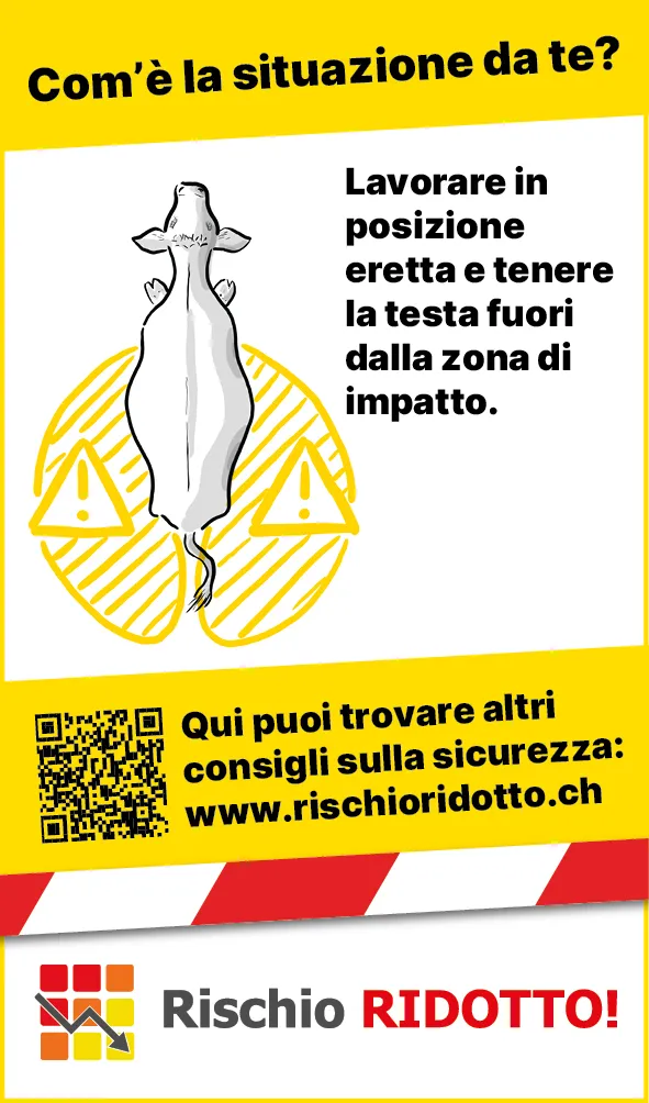 Tiere_Kuh_Schlagbereich_IT3