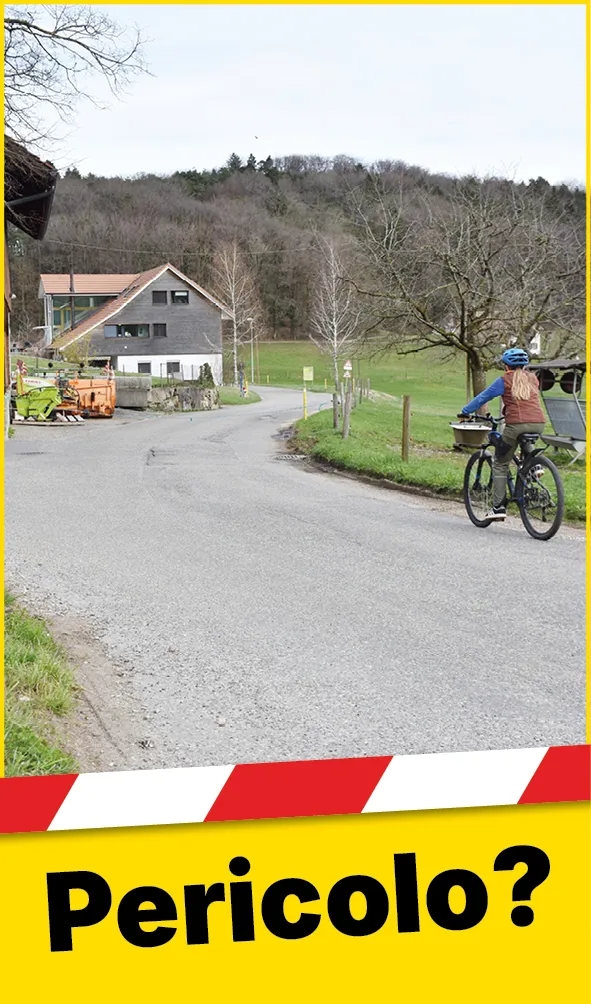 Tiere_Absperrung_Strasse_Web_IT1