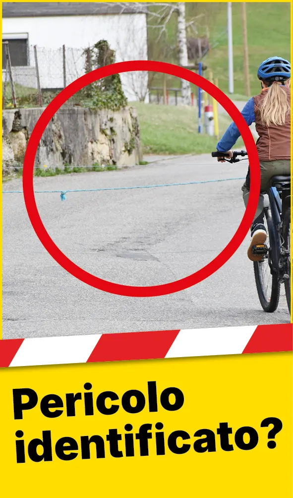 Tiere_Absperrung_Strasse_Web_IT2