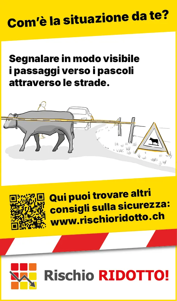 Tiere_Absperrung_Strasse_Web_IT3