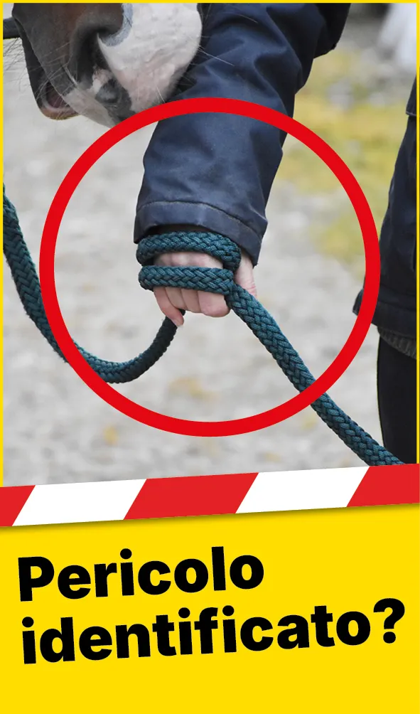 Tiere_Pferd_Strick_Hand_Web_IT2