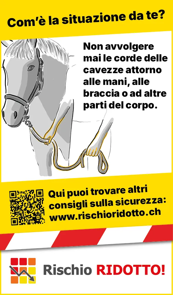 Tiere_Pferd_Strick_Hand_Web_IT3