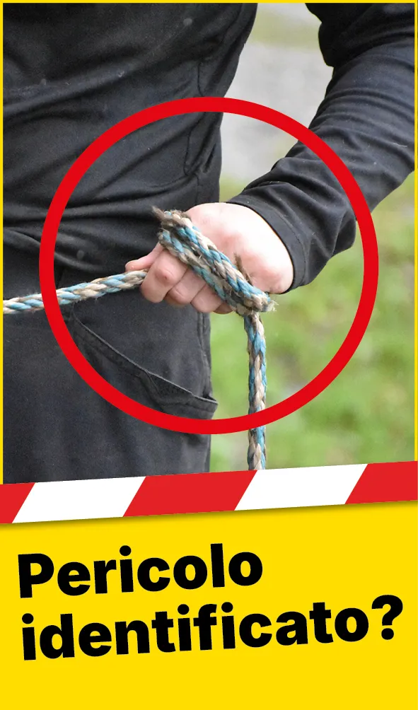 Tiere_Seil_Hand_Rind_Web_IT2