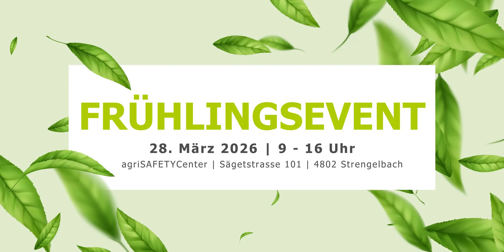 Green-Modern-Flying-Leaves-Seasonal-Spring-Sale-Banner-1