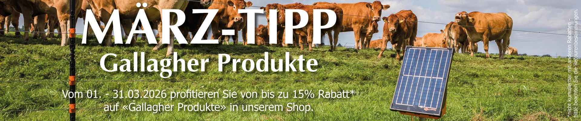 2026_Aktion_Monat_BUL-Shop_Maerz_DE