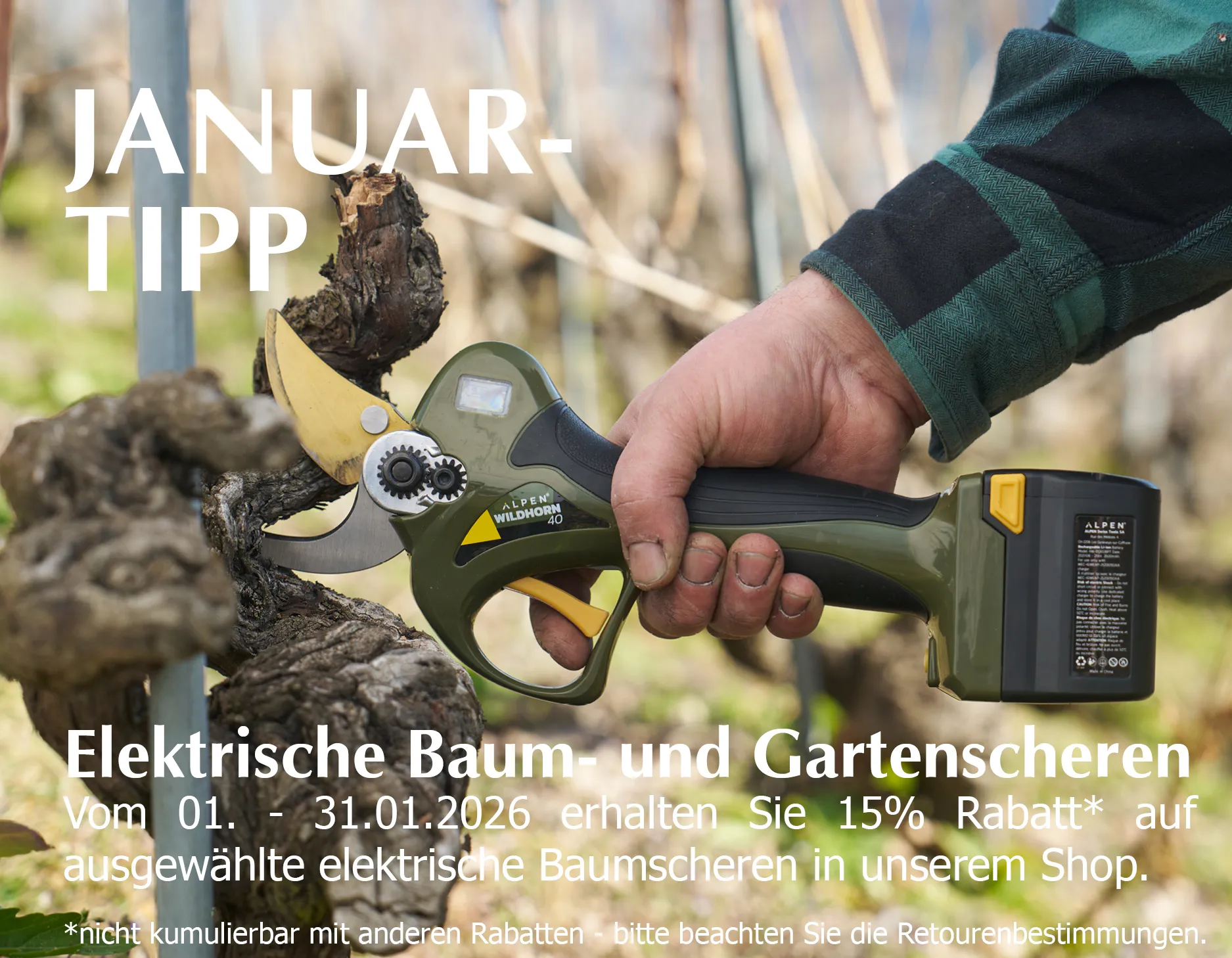 2026_Januar-Tipp_Onlineshop_Smartphone_450x350px_DE