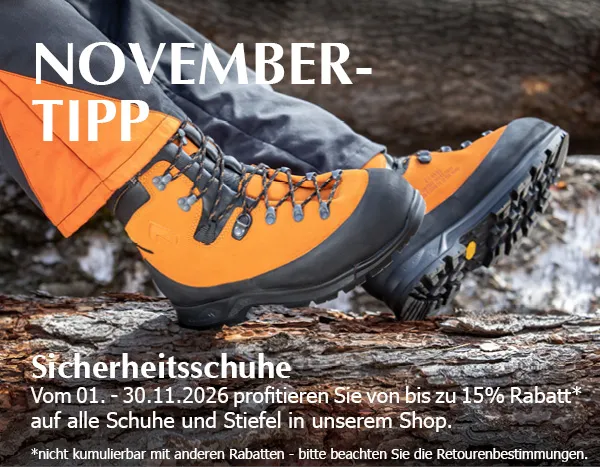 2026_November-Tipp_Onlineshop_Smartphone_450x350px_DE