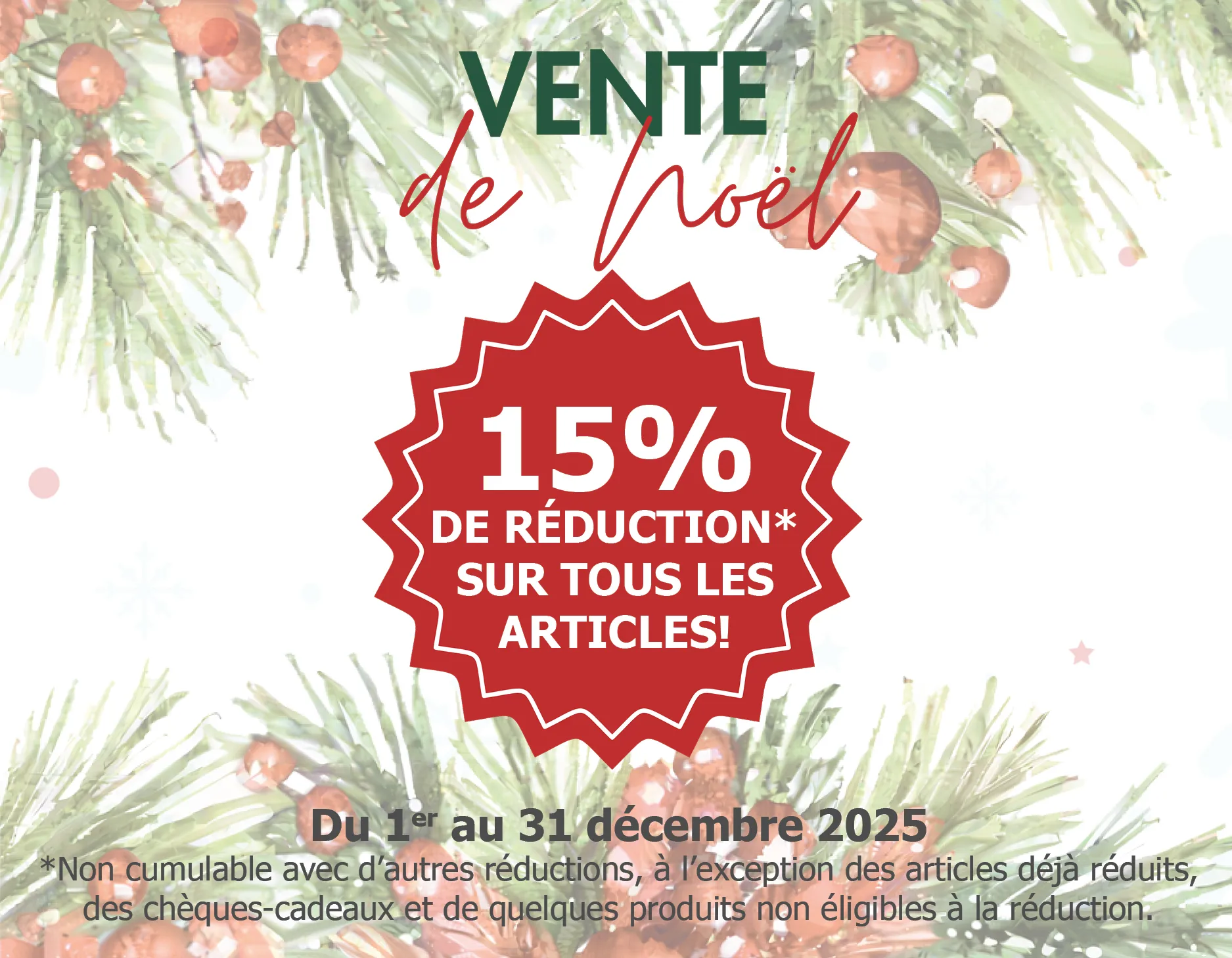 2025_Dezember-Tipp_Onlineshop_Smartphone_450x350px_FR