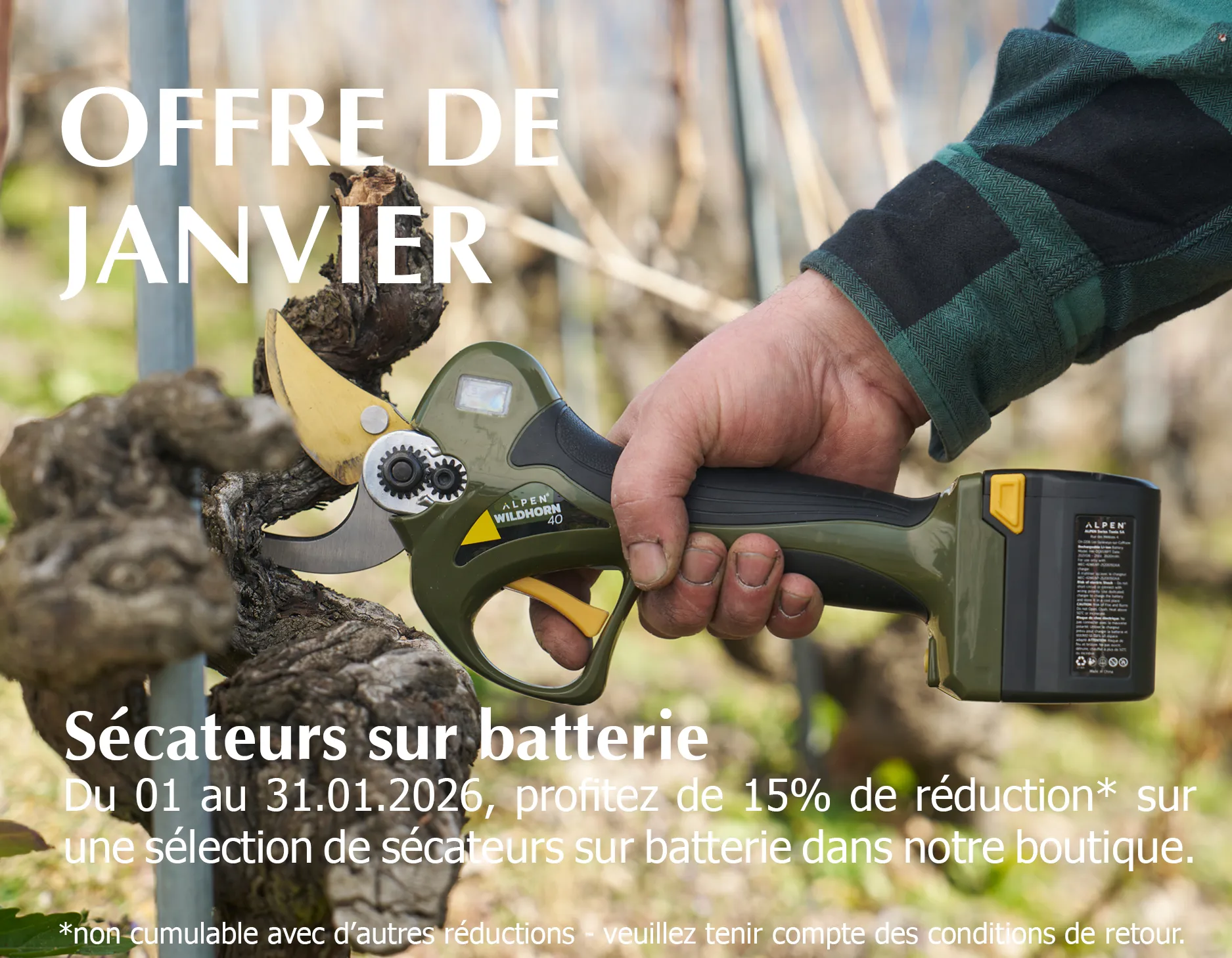 2026_Januar-Tipp_Onlineshop_Smartphone_450x350px_FR