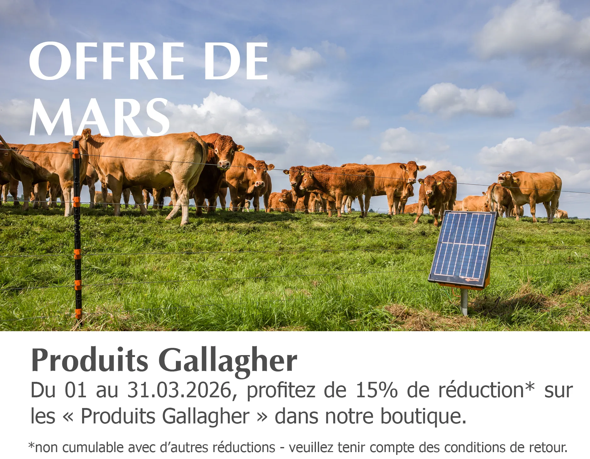 2026_Maerz-Tipp_Onlineshop_Smartphone_450x350px_FR