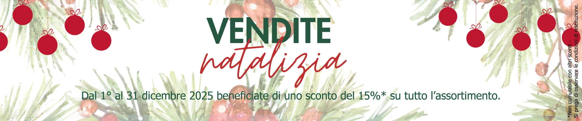 2025_Aktion_Monat_BUL-Shop_Dezember_IT