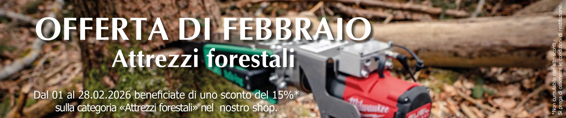 2026_Aktion_Monat_BUL-Shop_Februar_IT