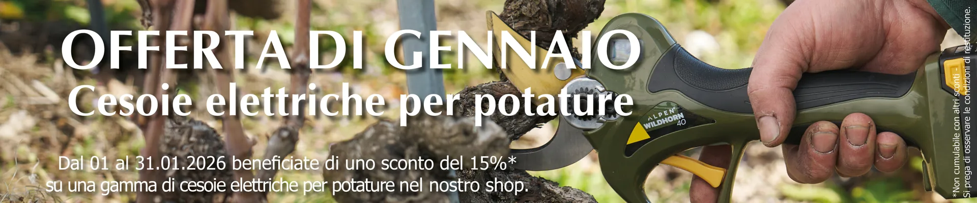 2026_Aktion_Monat_BUL-Shop_Januar_IT