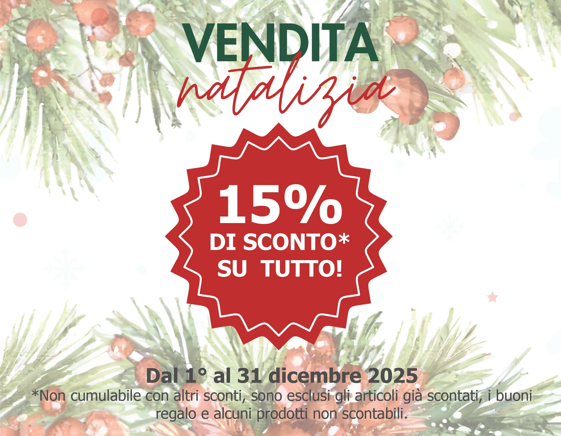 2025_Dezember-Tipp_Onlineshop_Smartphone_450x350px_IT