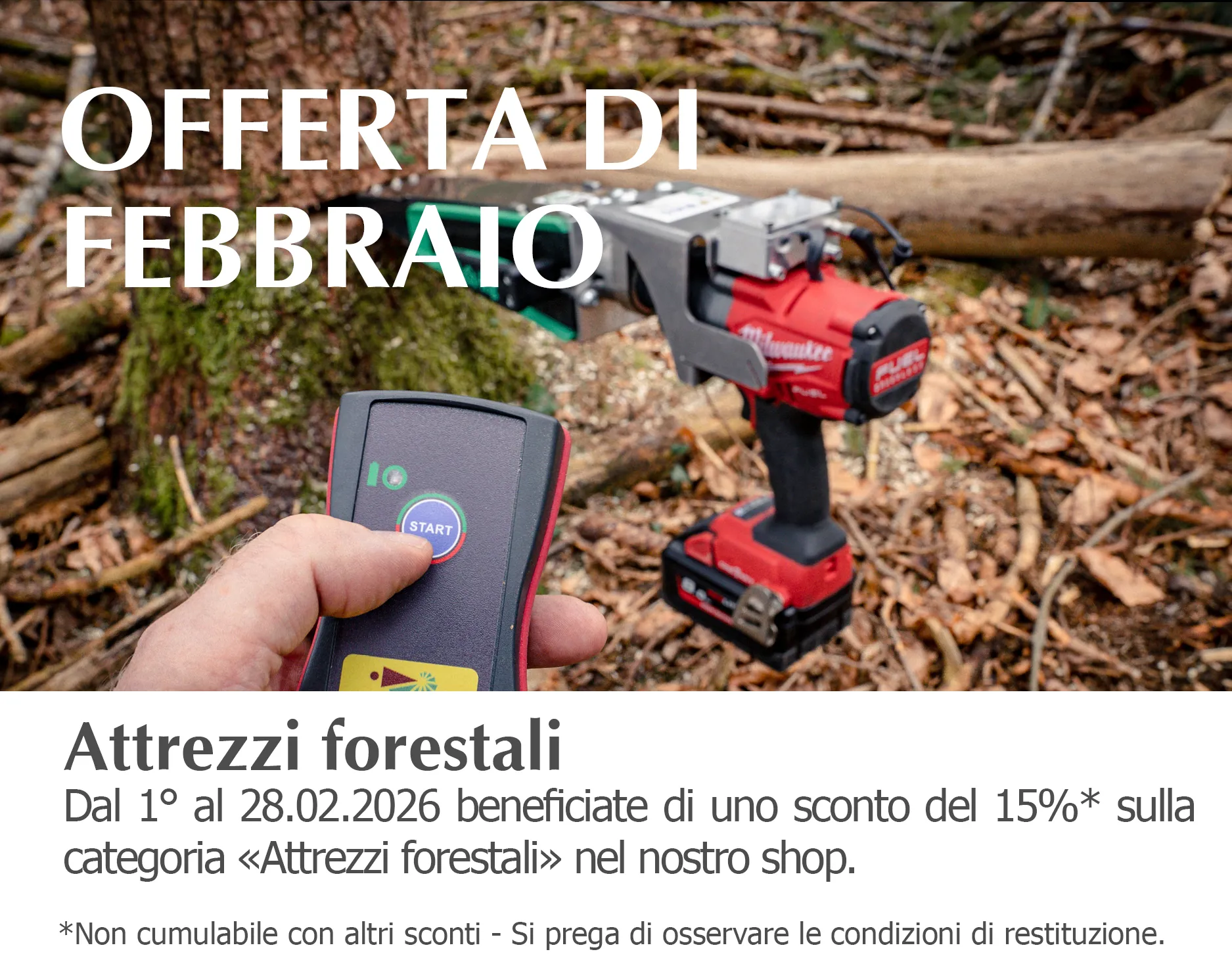 2026_Februar-Tipp_Onlineshop_Smartphone_450x350px_IT