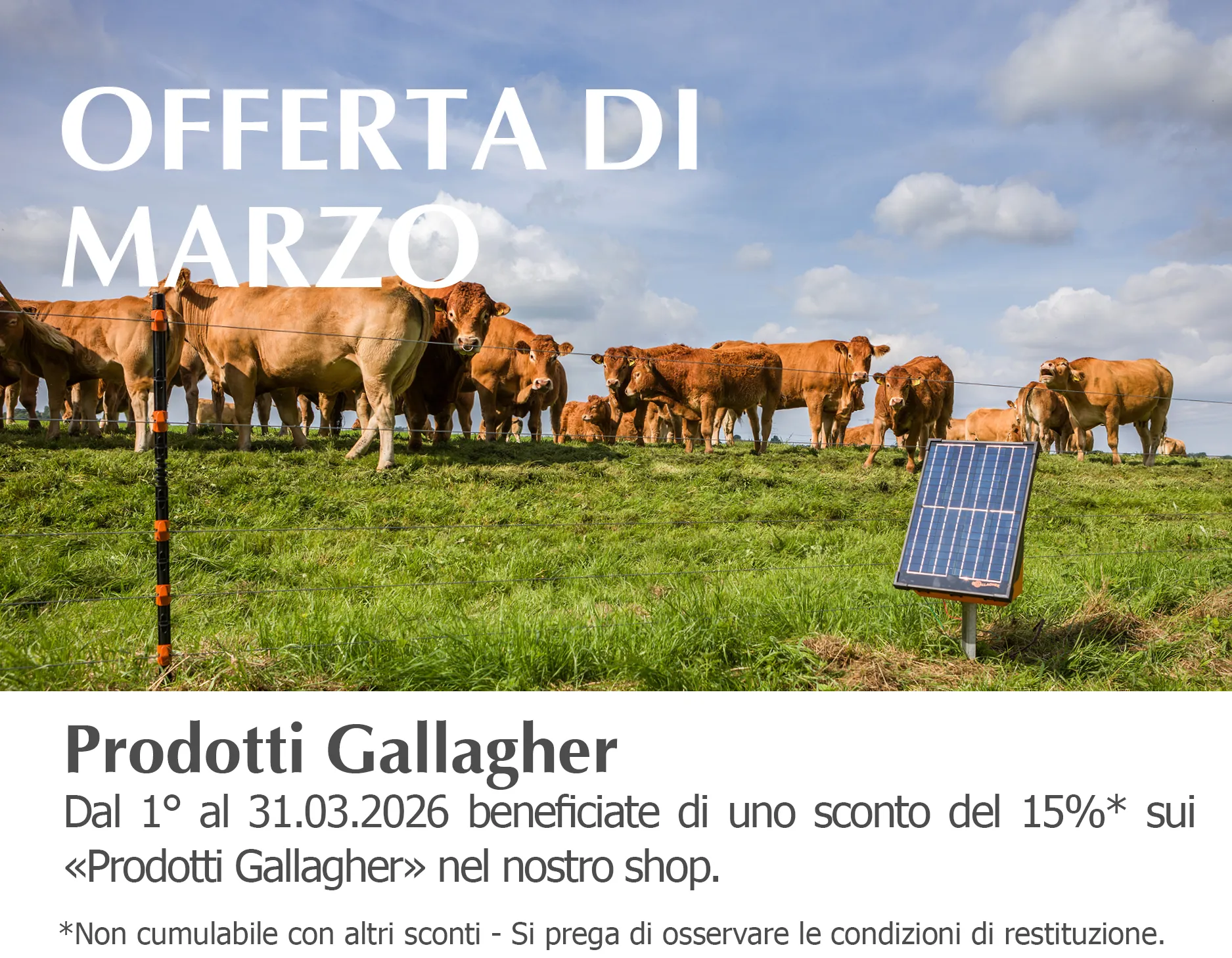 2026_Maerz-Tipp_Onlineshop_Smartphone_450x350px_IT