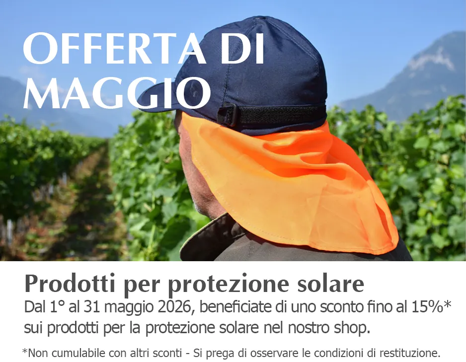 2026_Mai-Tipp_Onlineshop_Smartphone_450x350px_IT