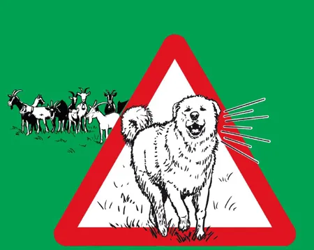 Kunstofftafel Herdenschutzhund mit Ziegen
